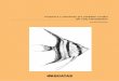 Propozice a standardy pro pořádání soutěží ryb rodu ... · AQUATAB 7 Pořadatel je odpovědný za vložení těch ryb, u nichž bude zajišťovat poslední fázi přepravy