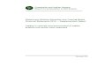 Comptroller and Auditor General Report for presentation to ... · Comptroller and Auditor General Report for presentation to Dáil Éireann . ... making the management of high level