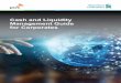 Cash and Liquidity Management Guide for Corporates...6 | Standard Chartered Cash and Liquidity Management Guide for Corporates Key considerations for POBO / ROBO structures include