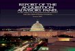 REPORT OF THE ACQUISITION ADVISORY PANEL...The Acquisition Advisory Panel (“the Panel”) was authorized by Section 1423 of the Services Acquisition Reform Act of 2003, which was