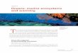 Oceans : marine ecosystems and warminghorizon.documentation.ird.fr/.../010069599.pdf · Oceans: marine ecosystems and warming T he oceans are at the heart of the globe’s climate