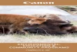 ENVIRONMENTAL, EDUCATION & COMMUNITY PROGRAMSdownloads.canon.com/nw/about/csr_brochure_2016.pdf · Friends of Acadia (FOA) helps preserve, protect, and promote stewardship of the