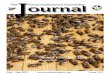 Journal Texas Beekeepers Association...author of "First Lessons in Beekeeping" and a leading scientist in honey bee research. LEARN WITH US ABOUT: Getting Started In Beekeeping - Beginner