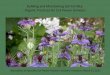 Building and Maintaining Soil Fertility: Organic …Teaming With Nutrients: The Organic Gardener’s Guide to Optimizing Plant Nutrition J. Lowenfels, Timber Press, 2013 The Nature