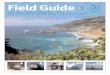 Field Guide to the Monterey Bay National Marine Sanctuary · other life.Sea otters frequent kelp forests in search of shellﬁsh,like crabs and sea urchins. The open seais a vast,ﬂuid
