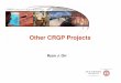 Other CRGP Projects - Stanford University · Enable PPPs – private sector innovation & competition. 6 Summary of CRGP Research — Det Norske Veritas — Høvik, Norway — Nov