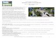 BAHAMAS: BIRDS & BUTTERFLIES - Field Guides · 2011-04-29 · BAHAMAS: BIRDS & BUTTERFLIES Mar 21, 2011 to Mar 26, 2011 Jesse ... (Zenaida macroura) – Surprisingly, just one on