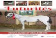2017...2017 2017 4 5 Mot du Président de Cheval Québec Rendez-vous incontournable pour les éleveurs de chevaux de toute race, les Futurités, organisées annuellement par Cheval