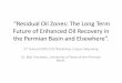 Residual Oil Zones: The Long Term - UW - Laramie, …...Residual Oil Zones: The Long Term Future of Enhanced Oil Recovery in the Permian asin and Elsewhere. 5th Annual EORI CO2 Workshop,