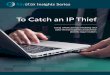 To Catch an IP Thief - Haystax€¦ · attitudes and actions — not just in the websites they visit, the networks they access, the files they download or the emails they send. As
