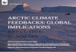ARCTIC CLIMATE FEEDBACKS: GLOBAL IMPLICATIONS …assets.panda.org/downloads/wwf_arctic_feedbacks... · ARCTIC CLIMATE FEEDBACKS: GLOBAL IMPLICATIONS EXECUTIVE SUMMARY Martin Sommerkorn