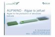 AUFWIND - Algae to jetfuel · • Reproducible and stable production of algae is a challenge • Extraction of oil from wet micro-algae is a challenge • For further processing,