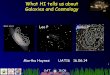 What HI tells us about Galaxies and Cosmologyegg.astro.cornell.edu/alfalfa/ugradteam/uat16talks/... · •The HI Mass Function: # galaxies per interval of HI mass per unit volume