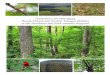Guidelines for Managing Wood Thrush and Scarlet Tanager ...highbranchconservation.com/wp-content/uploads/2017/... · woodlands, as well as northern hardwood, eastern hemlock, and