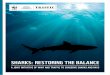 SHARKS: RESTORING THE BALANCE · 2014-09-19 · SHARKS Mythologized, feared, revered. These ancient predators capture our imaginations. But sharks are in trouble – victims of irresponsible