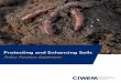 Protecting and Enhancing Soils - CIWEM · to Protect Rural England’s report, Back to the land: rethinking our approach to soil3. 4. Successful and measurable implementation of the