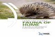 HUME CITY COUNCIL FAUNA OF HUME The Fauna of Hume field guide shows most of the native and introduced