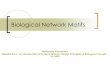 Biological Network Motifs - iXnisansa/Classes/01... · Biological Network Motifs Mahendra Piraveenan Material from “An Introduction to Systems Biology: Design Principles of Biological
