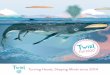 TWIRL - raincoast.com · are thrilled to share a fresh new collection of France’s very best books for young readers. From brightly colored concept books to highly innovative and
