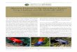 TABLE OF CONTENTS IRCF REPTILES & AMPHIBIANS • … · 2017-06-29 · The Amphibians and Reptiles of Costa Rica. A Herpetofauna between Two Continents, between Two Seas. University