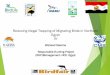 Reducing Illegal Trapping of Migrating Birds in Northern Egypt · 2016-08-02 · hunting in Egypt, informing implementation of the agreed Action Plan 3. Increased understanding of