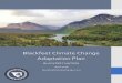 BLACKFEET CLIMATE CHANGE ADAPTATION PLAN · Adaptation (climate change): actions in response to actual or expected climate change and its effects, that lessen harm or exploit beneficial