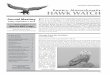 Eastern Massachusetts HAWK WATCH - Massbird€¦ · Conservation of the American Kestrel in Massachusetts ... had a special interest in birds and began seriously birding in 2007