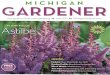 New Perennials - Terra Nova Nurseries, Inc.New Perennials for 2011 | June 2011 | Michigan Gardener 31 continued on page 32 All from one lone branch that had sported (mutated) to produce