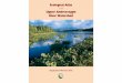 of the Upper Androscoggin River Watershed · Ecological Atlas of the Upper Androscoggin River Watershed Appalachian Mountain Club Map 1 – Upper Androscoggin River watershed The