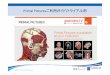 Primal Picturesご利用ガイド トライアル用erl.med.u-tokai.ac.jp/Primal Pictures User Guide.pdf · PDF file 組織名の表示・認識/3D Atlas of Human Anatomy • 画像に表示されている組織名が一覧表示されます