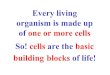 Every living organism is made up of one or more cells · Every living organism is made up of one or more cells So! cells are the basic building blocks of life! Cells can be divided