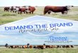 Demand the Brand Annual Bull Sale · 2020-04-02 · Welcome to our Demand The Brand Annual Bull Sale. This has been a real good set of bulls to watch develop. They were produced with