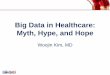 Big Data in Healthcare: Myth, Hype, and Hope · Big Data in Healthcare: Myth, Hype, and Hope Woojin Kim, MD Insert Organization Logo Here or Remove