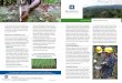 Forest and Natural Resource Management...management committees for resilience to climate change supported in Bangladesh 20+ policies and agreements on REDD+, forestry, and climate