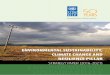 STRATEGY PAPER (2016-2021) ENVIRONMENTAL SUSTAINABILITY · 4 UNDP: Environmental Sustainability, Climate Change and Resilience Strategy Paper and global factors, UNDP is now more