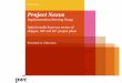 PwC project plan analysis for 01 May Steering Group FINAL... · PwC Executive Summary 5 Project Nexus May 2015 1. Key conclusions from our review of project plans across shippers,
