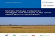 Climate Change Adaptation Strategies and Practices in the ... · on climate change adaptation, sectoral policies and plans, scientific papers, and the grey literature. Numerous adaptation