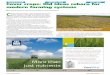 Cover crops: Old ideas reborn for modern farming systems Issues/292ja19grn/Cover crops.pdf · legume species are included, and maintain soil organic ... herbicides (Table 1). The
