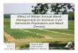 Effect of Winter Annual WeedEffect of Winter Annual Weed ... · Nematode Population and WeedNematode Population and Weed Density ... - Found 93% of fields had winter annual weedFound