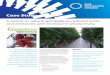 Case Study - Gas Networks Ireland · Case Study gasnetworks.ie The Currid family has been a supplier of a wide range of fresh fruit and vegetables for several decades. The tomatoes