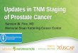 Updates in TNM Staging of Prostate Cancerhandouts.uscap.org/AN2017/2017_CM05_fine__0201.pdf · 2017-01-24 · Updates in TNM Staging of Prostate Cancer . AJCC Levels of Evidence I