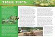 Bartlett Tree Tips - Autumn 2014instructional calendar to guide growers through the entire orchard year. Trees and Shrubs of the Pacific Northwest: Timber Press Field Guide by Mark