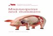 Mannequins and Dummies - Replacing animals …cats and rats, as well as body parts such as skins and artificial veins. The solution Training on mannequins and dummies Veterinary Simulation