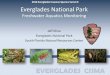 Jeff Kline Everglades National Park South Florida …...Everglades National Park South Florida Natural Resources Center • Preserve flora and fauna in a natural state. (1934 Everglades