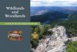 Wildlands and Woodlands...history has positioned New England as the nation’s most forested region (33 million forest acres of 42 million total acres) and, in its southern reaches,