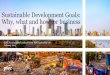Sustainable Development Goals: Why, what and how for business · 2019-02-08 · Sustainable Development Goals: Why, what and how for business. PwC Agenda ... sustainable business