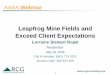 Leapfrog Mine Fields and Exceed Client Expectations...1 AAAA Webinar Leapfrog Mine Fields and Exceed Client Expectations. Lorraine Stewart Rojek . Moderator . May 29, 2008. Call In