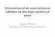 Stimulation of de novo telomere addition by the Rap1 ... · Stimulation of de novo telomere addition by the Rap1 protein of yeast. CEN WW W Incorrect repair GCR Correct repair Telomere