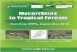 Mycorrhizas in Tropical Forests - Mycorrhiza Research · Mycorrhizas in Tropical Forests Mycorrhizas in Tropical Forests Ecuador Ingrid Kottke, Juan Pablo Suárez, Paulo Herrera,