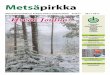 Metsänhoitoyhdistys Pohjois-Pirkan tiedotuslehti 4/2017 29 ... · tain kaupungin kehittämispääl - likkö Heidi Tanhua. Valmistunut BioVirrat-haas-tatteluraportti haluttiin tuoda